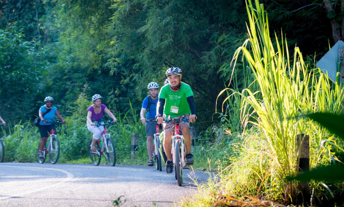 Five cyclists riding around curve of paved road with trees in the background