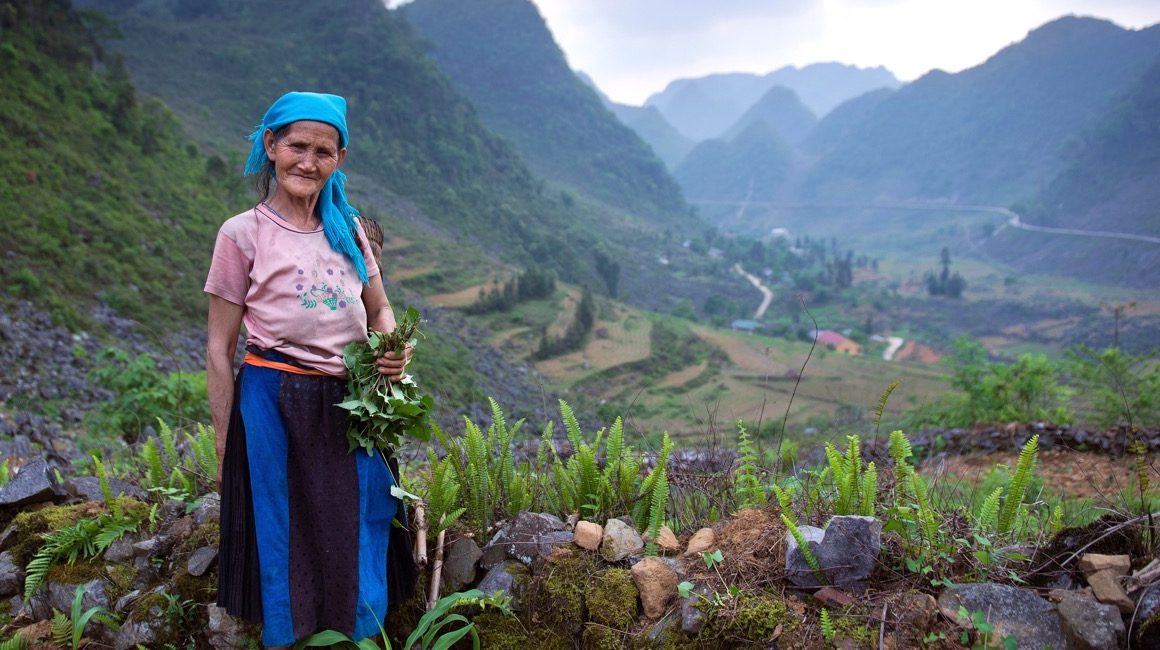 Local woman holding plants in front of mountains of Vietnam