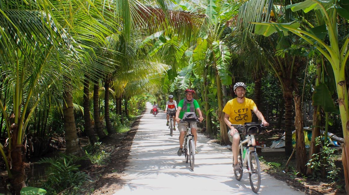 Cyclists riding on concrete path through palm trees