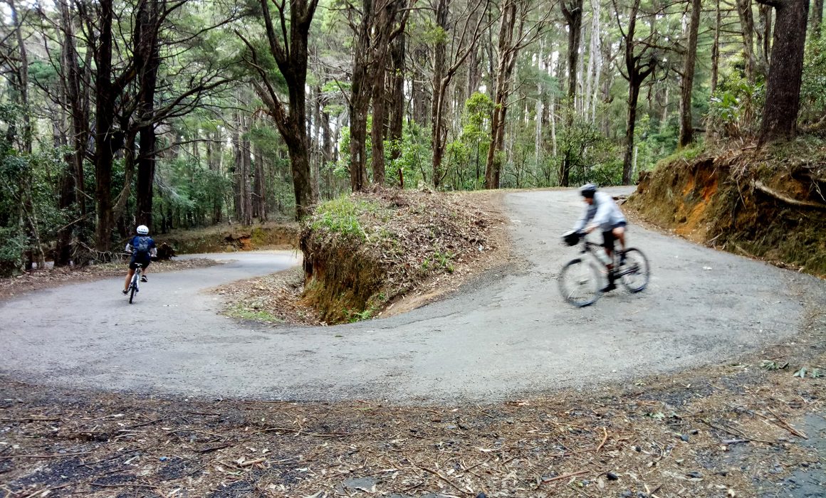 Two cyclists riding down switchback road in forest