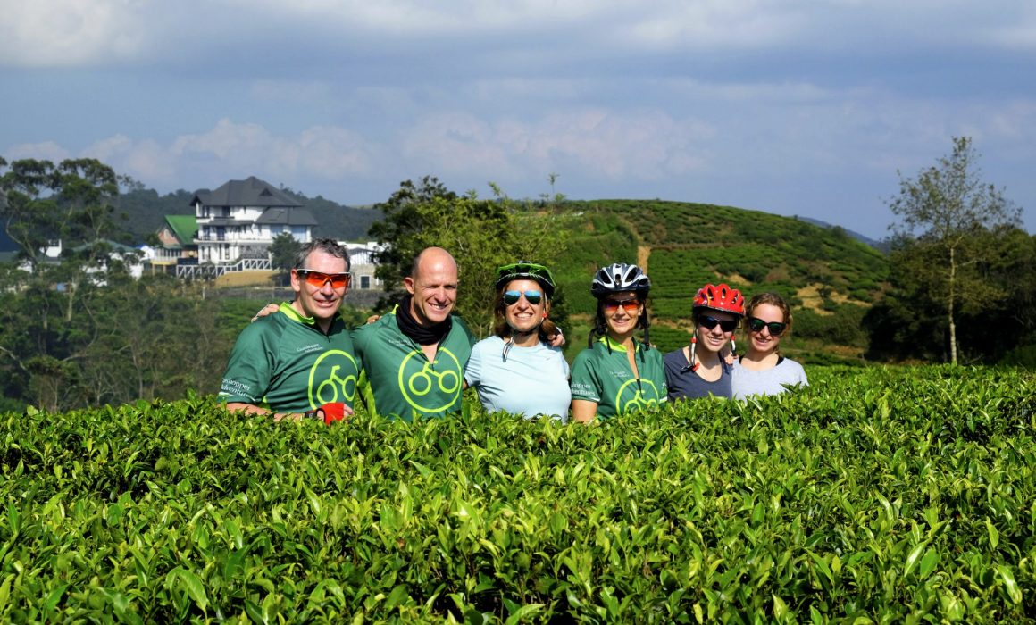 Two male cyclists and four female cyclists in helmets standing in high tea plants with hill and building behind