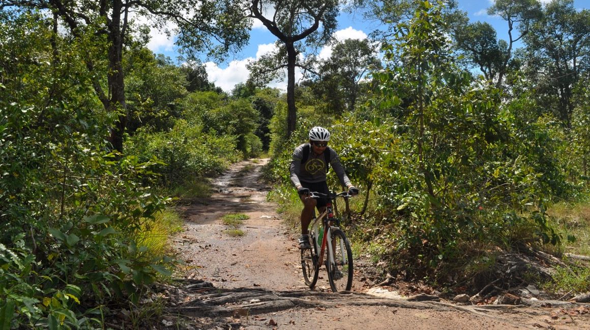 Cyclist riding on dirt path through jungle of Cambodia