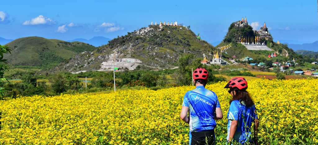 Two cyclists in helmets in front of yellow flowers and hills with temples on top