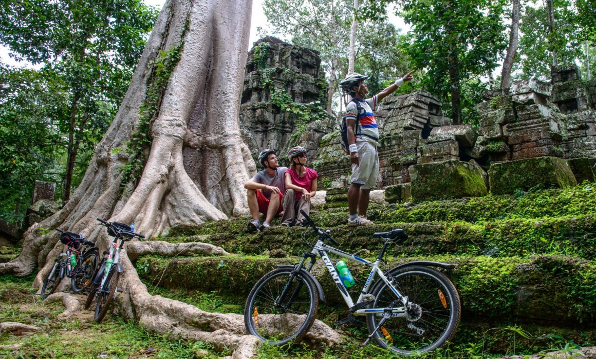 Bike guide at Preah Khan point to a monkey in the tree