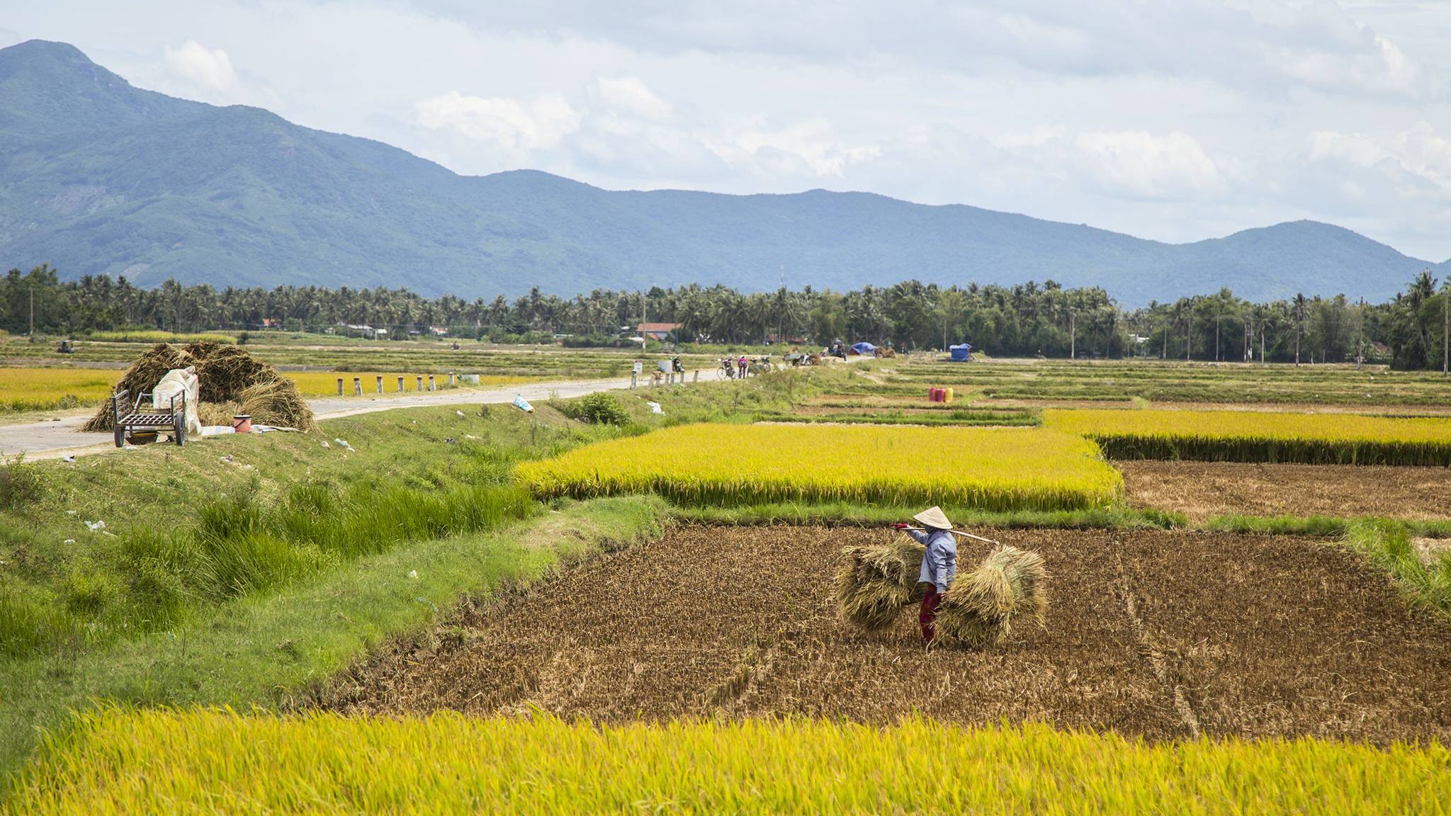 Traditional farming near Dalat