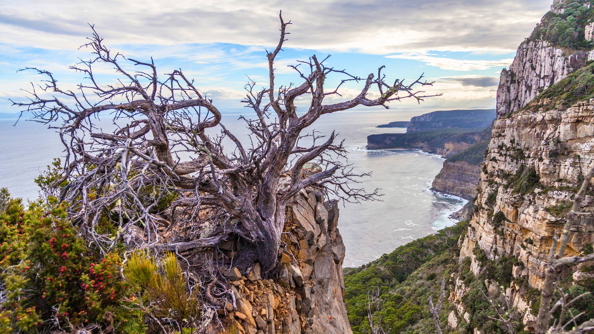 Cape Raoul Tasmania, picture courtesy of Tasmania Parks and Wildlife