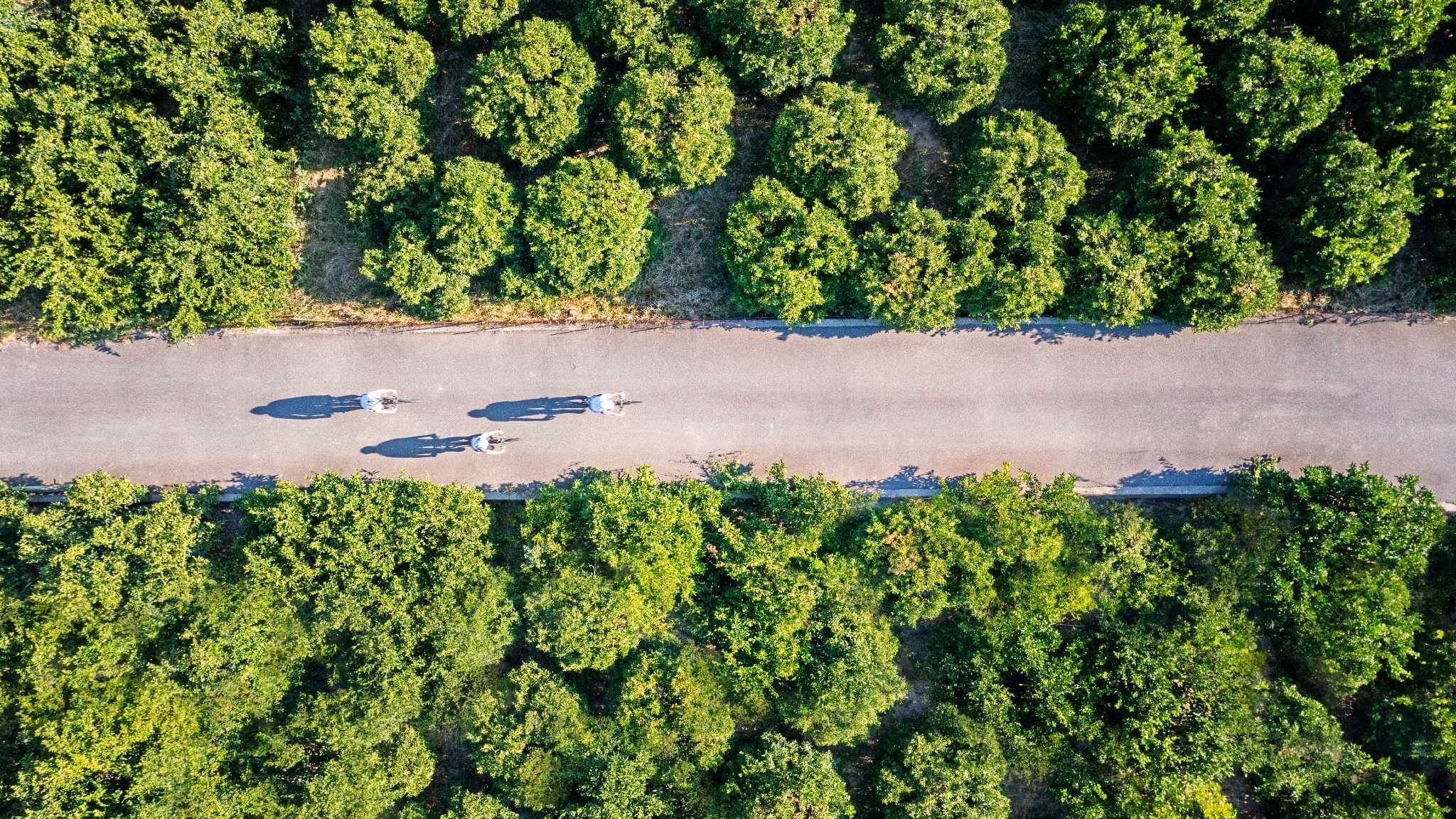 https://www.grasshopperadventures.com/wp-content/uploads/2023/12/Banner-Image-Cycling-Japan-Do-Dont.jpg