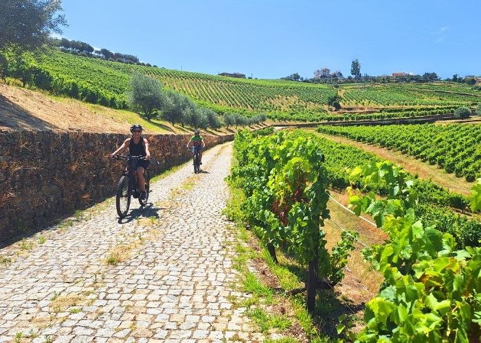 Cycle touring in the Douro Valley, Portugal